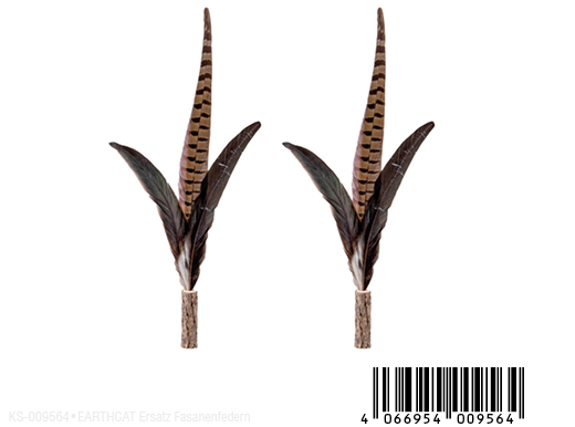 Earthcat Replacement 2x